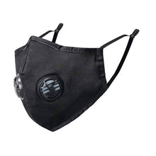 Load image into Gallery viewer, N95 Face Mask